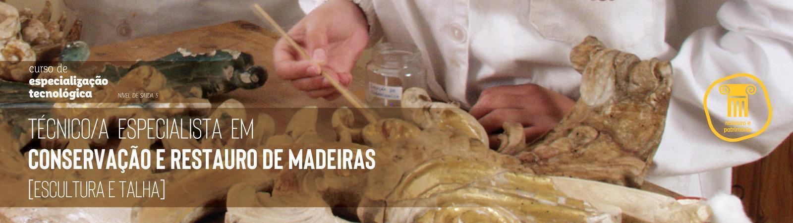 Técnico/a Especialista em Conservação e Restauro de Madeira (Escultura e Talha)