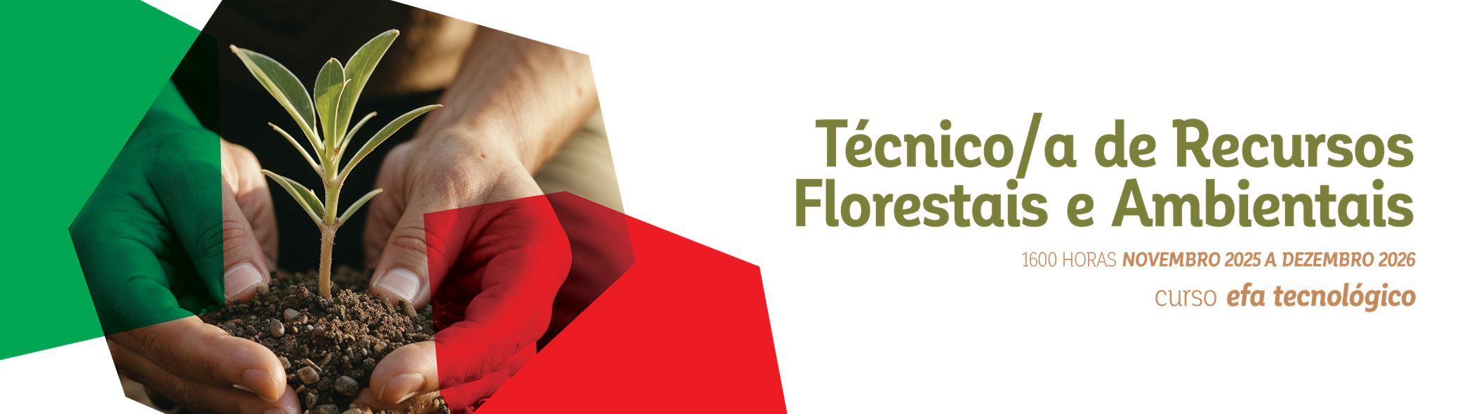 Técnico/a de Recursos Florestais e Ambientais